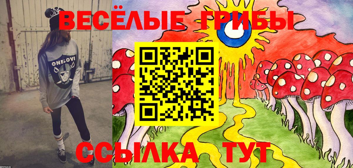 Псилоцибиновые грибы ЛСД Богородицк
